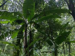 -成都杜甫草堂博物馆