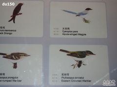 -北京麋鹿生态实验中心