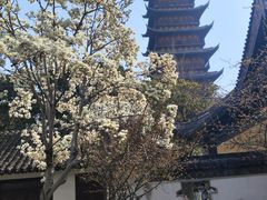 -常熟方塔园