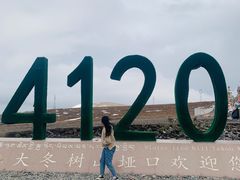 -大冬树山垭口