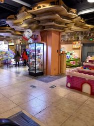 -卡通尼·Safari非洲探索乐园·生日会(金桥国际商业广场店)