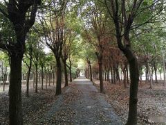 -嘉北郊野公园