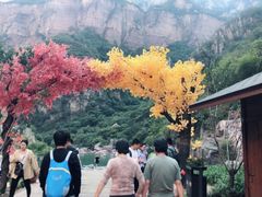 -河南宝泉旅游区