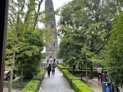 -上海佘山国家森林公园天马山园