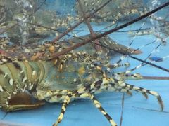 -渔人湾码头海鲜市场负二楼