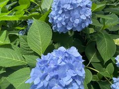 -常州古运河南大街文化旅游区-人民公园