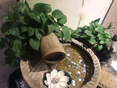 -茶花妹子云南餐厅(传媒大学店)