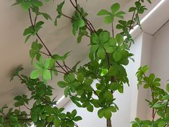 -素禅棋牌会所(海阳路店)