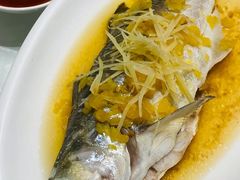 破布子午鱼-光头匠