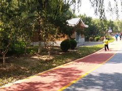 -大兴滨河森林公园