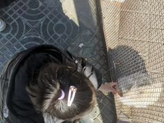 -保定市动物园