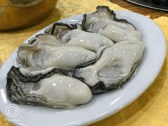 -濠轩阁特色生蚝火锅(水湾路店)