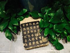 -霓裳茶舞(蒸湘万达店)