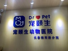 -宠颐生动物医院·心脏科·保险定点(锦阳分院)