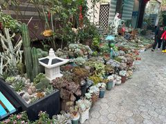 -杨厝六十六农庄农舍(杨厝路店)