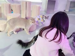 -极木²邸 人与宠物·互动社区