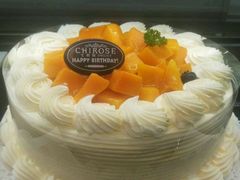 -七若滋动物奶油生日蛋糕(北苑店)