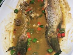 -7017浙菜•建德味(中财店)