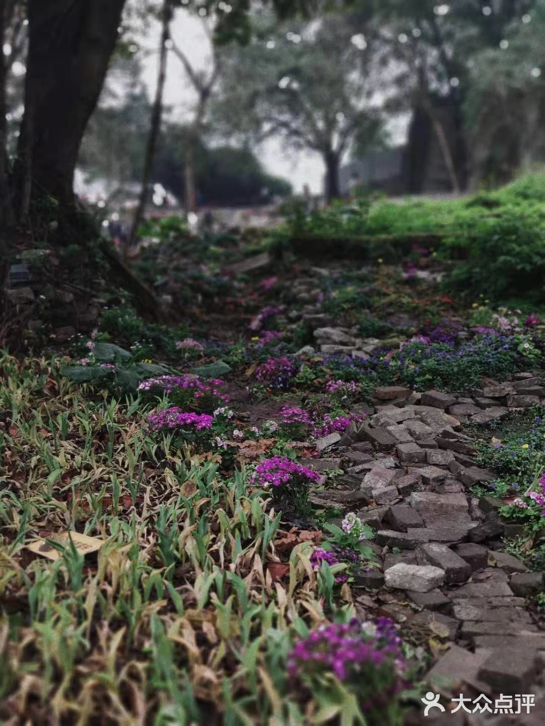 最近很火的小众打卡圣地🌟废墟之上仍有浪漫重生🌹