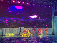 -海合安青岛极地海洋公园