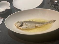 油盐水蒸中黄鱼-广舟(千禧店)