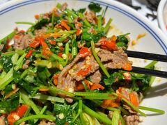 香菜炒牛肉-壹盏灯(蚂蚁工房店)