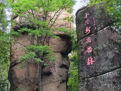 -汤旺河林海奇石景区