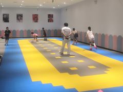 -米高轮滑·自由式轮滑·速桩·滑板(锦辉店)