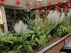 -红菜坊·烤鸭·川鲁宴(石园店)