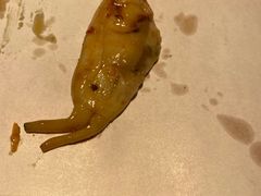 -虾享蟹逅小龙虾·螃蟹·小海鲜(吉林省总店)