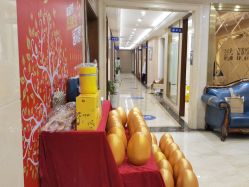 -碧莲盛·不剃发植发