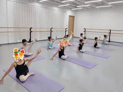 -中央芭蕾舞团·中芭艺蕾(酒仙桥明星校区)