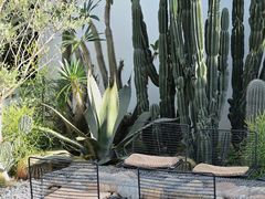 -自由生长植物工作室(深港花卉中心店)