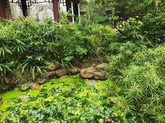 -深圳国际园林花卉博览园