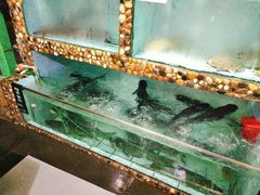 -勝記酒家·37年老字号·经典粤菜(荔枝公园店)