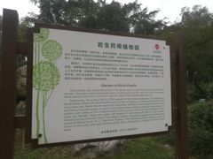 -广西壮族自治区药用植物园