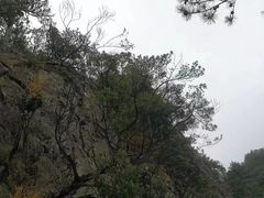 -大明山自然探索公园