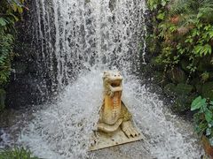 -深圳仙湖植物园
