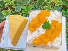 -卡吉诺动物奶油生日蛋糕(蓝堡湾店)
