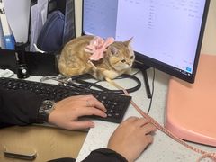 -宠颐生猫科·内科皮肤科(西平世纪城店)