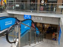 -盒马鲜生(双清路店)
