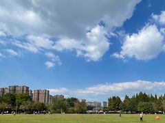 -青枫公园