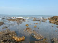 -日照海滨国家森林公园