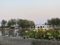 景点-长春市南湖公园