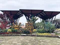 -上海长兴岛郊野公园