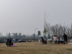 -两河城市森林公园