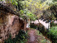 -普陀山风景名胜区-法雨禅寺