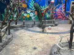 -海合安青岛极地海洋公园