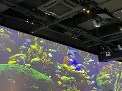 -大成活海鲜烧烤龙虾(静安大融城店)