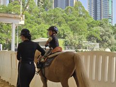 -名驭国际马术学院